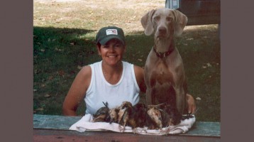 timberdoodle_weimaraners