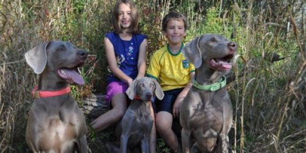 www.timberdoodleweims.net – Gallery – Families – 021